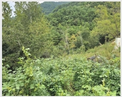  2024Ÿ��601 ���� ��â�� ��â�� ������ ��206-34      ��,�繫�ǰ��