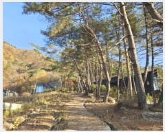  2024Ÿ��601 ���� ��â�� ��â�� ������ ��206-34      ��,�繫�ǰ��