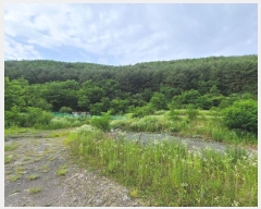  2024Ÿ��1031  �������