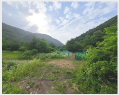  2024Ÿ��1031  �������