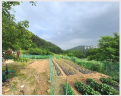  2024Ÿ��1031  �������