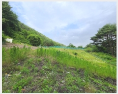  2024Ÿ��1031  �������