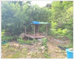  2024Ÿ��1031  �������