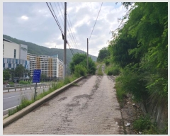  2024Ÿ��1031  �������