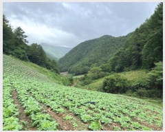  2024Ÿ��1321  �����