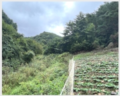  2024Ÿ��1321  �����