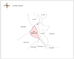  2024Ÿ��1321  �����