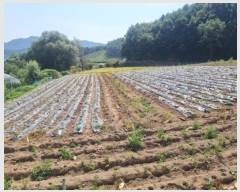  2024Ÿ��1338  �����