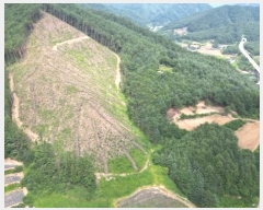  2024Ÿ��1352  �Ӿ߰��