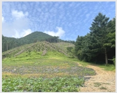  2024Ÿ��1352  �Ӿ߰��