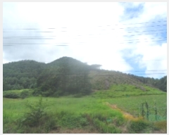  2024Ÿ��1352  �Ӿ߰��