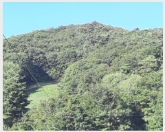  2024Ÿ1437  â ɸ ׸ 491-15      (Ӿ)