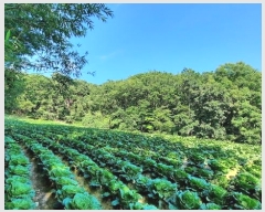  2024Ÿ1437  â ɸ ׸ 491-15      (Ӿ)