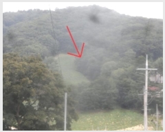  2024Ÿ1437  â ɸ ׸ 491-15      (Ӿ)