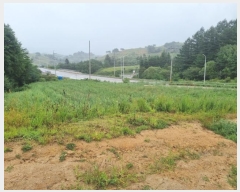  2024Ÿ��1512  �Ӿ߰��