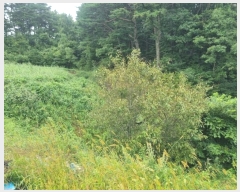  2024Ÿ��1512  �Ӿ߰��