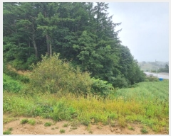  2024Ÿ��1512  �Ӿ߰��