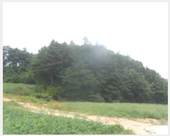  2024Ÿ��1512  �Ӿ߰��