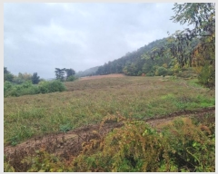  2024Ÿ1758  â θ  1200-2      (1)