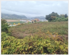  2024Ÿ1758  â θ  1200-2      (1)