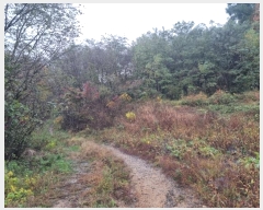  2024Ÿ1758  â θ  1200-2      (1)