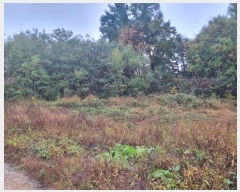  2024Ÿ1758  â θ  1200-2      (1)