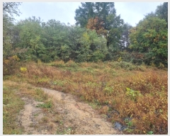  2024Ÿ1758  â θ  1200-2      (1)