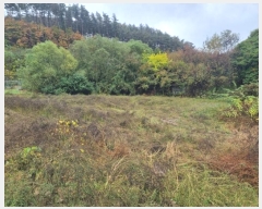  2024Ÿ1758  â θ  1200-2      (1)