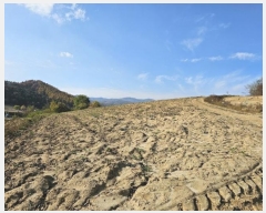  2024Ÿ��1789  �����