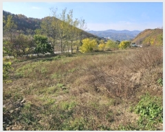  2024Ÿ��1789  �����