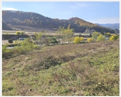  2024Ÿ��1789  �����