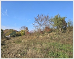  2024Ÿ��1789  �����