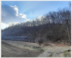  2024Ÿ��1949 ���� ������ ���� ������ ��260-2      ����(�Ӿ�)���