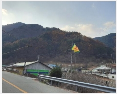  2024Ÿ��1949 ���� ������ ���� ������ ��260-2      ����(�Ӿ�)���