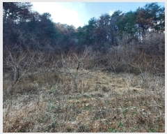  2024Ÿ��1949 ���� ������ ���� ������ ��260-2      ����(�Ӿ�)���