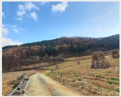  2024Ÿ��1949 ���� ������ ���� ������ ��260-2      ����(�Ӿ�)���