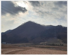  2024Ÿ��1949 ���� ������ ���� ������ ��260-2      ����(�Ӿ�)���