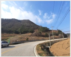  2024Ÿ��1949 ���� ������ ���� ������ ��260-2      ����(�Ӿ�)���