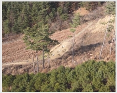  2024Ÿ2089    õ 355-1      (1)