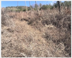  2024Ÿ2089    õ 355-1      (1)