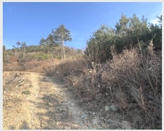  2024Ÿ2089    õ 355-1      (1)