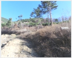  2024Ÿ2089    õ 355-1      (1)