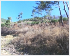  2024Ÿ2089    õ 355-1      (1)