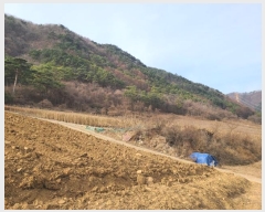  2024Ÿ2102    ϸ 405-8      (1)