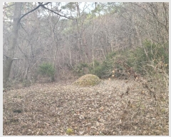  2024Ÿ2102    ϸ 405-8      (1)