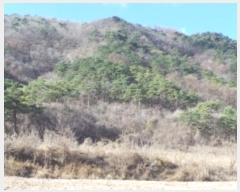  2024Ÿ2102    ϸ 405-8      (1)