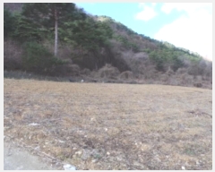  2024Ÿ2102    ϸ 405-8      (1)