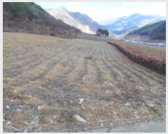  2024Ÿ2102    ϸ 405-8      (1)