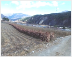  2024Ÿ2102    ϸ 405-8      (1)