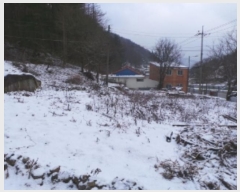  2024Ÿ2133    ϸ 272-4      (1)